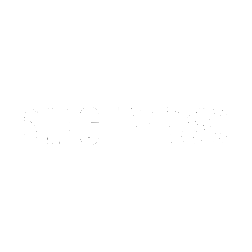 light logo