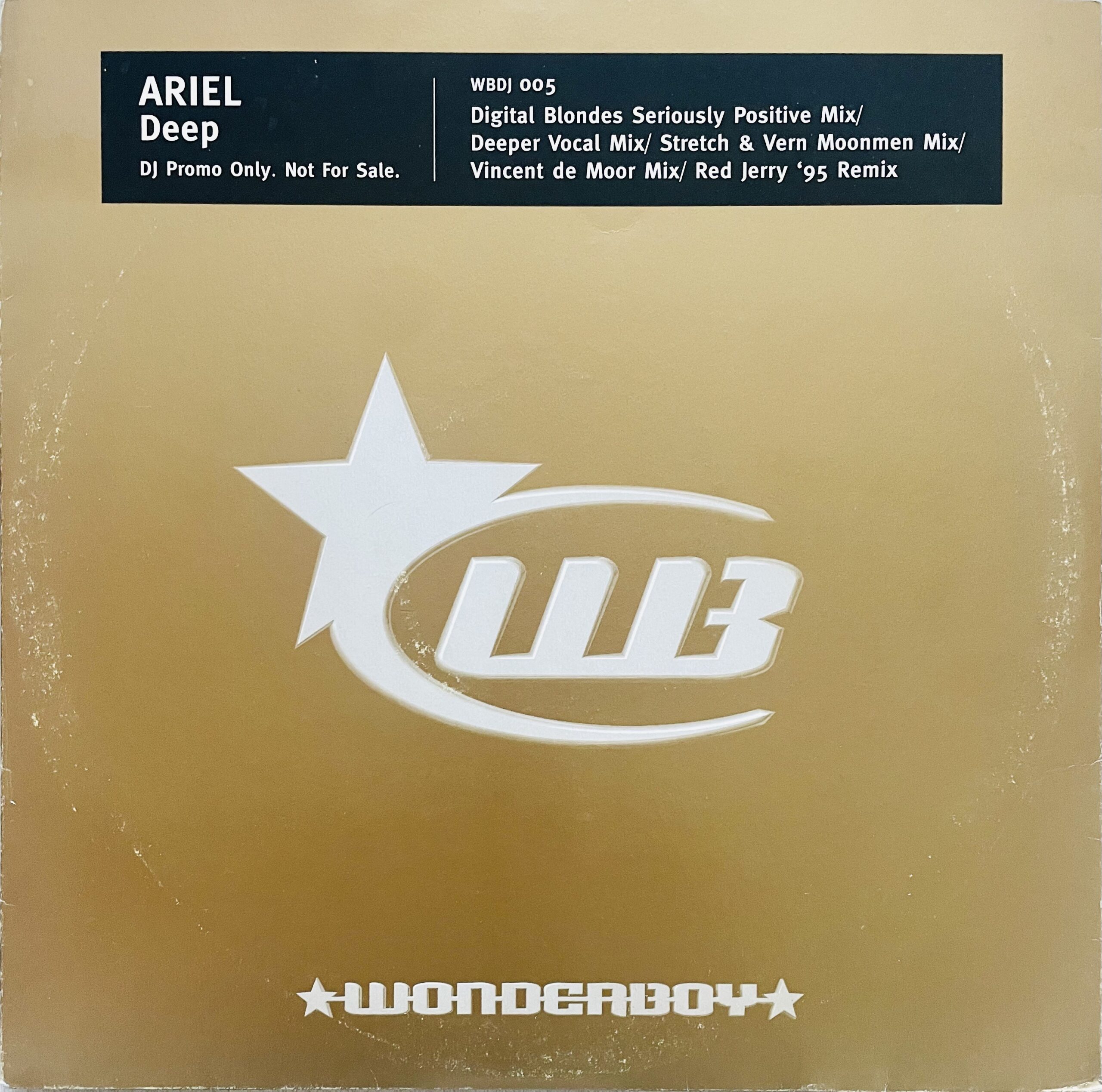 Ariel - Deep (I'm Falling Deeper) (Stretch N Vern Moonmen Mix) Wonderboy Records 12 Inch Vinyl Sleeve Cover
